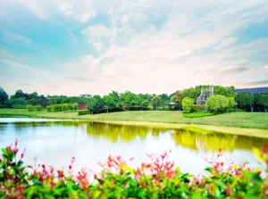 9 英亩 Mulberry Lake